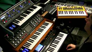Analogue Synth Power - Studio Jam with 2 Moogs and a Dave Smith Mopho keys in the lead
