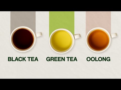 Green Tea vs Black Tea vs Oolong Tea - 3 Different Tea Types Explained