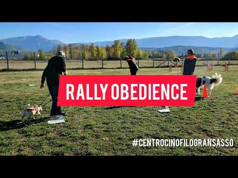 Rally Obedience CSEN Gran Sasso