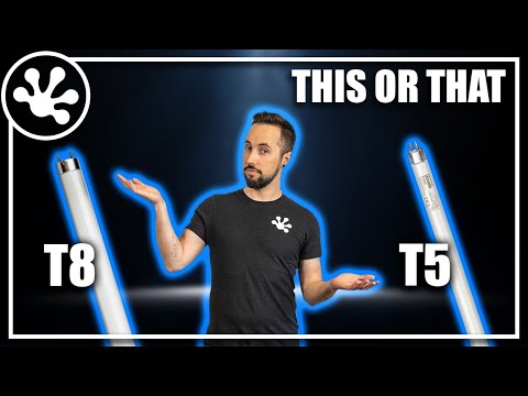 T8 vs T5 | This or That
