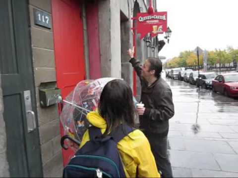 pourquoi les castors ont la queue plate