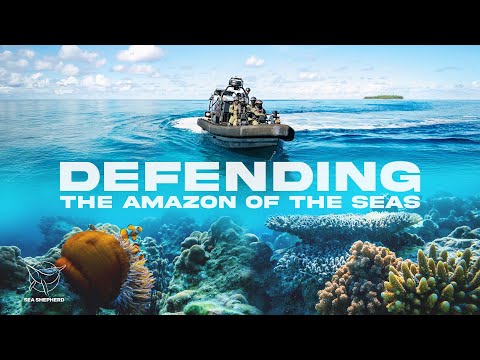 Bougainville: Defending the Amazon of the Seas