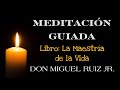 Seated Meditation Book Mastery of Life by Don Miguel Ruiz Jr.