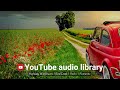 Highway Wildflowers Bird Creek Rock Romantic NOCOPYRIGHTMUSIC