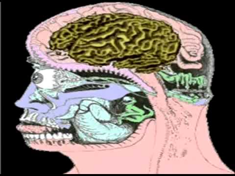 bRaInStAlKeR - Izopatisch (there are no drum-sounds used in this song!).flv