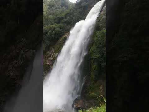 salto del buey #cascadas #antioquia #laceja #youtube #shorts #videos #colombia #yovoy #viajes