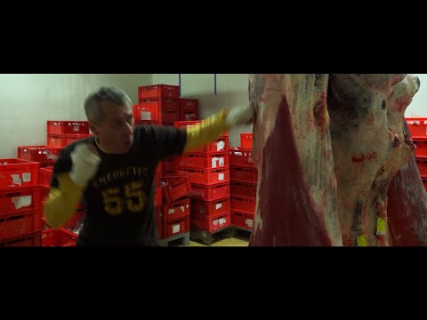 Auer - Offizieller Teaser