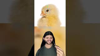 Uma obra de arte 😍 #thiguees #explorar #meme #reagindo