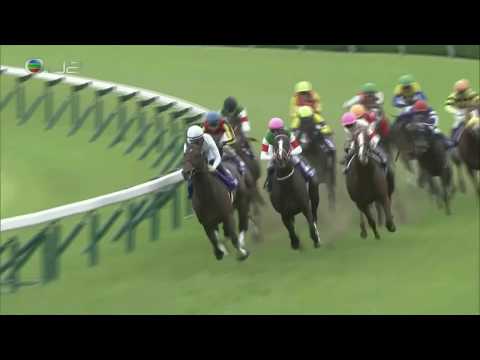 2019 Takarazuka Kinen G1 - Lys Gracieux (雍容白荷) - D.Lane