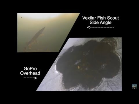 INCREDIBLE Underwater Pike Strike!