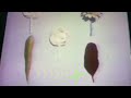 Sesame Street Feather Lollipop Carrot And Flower