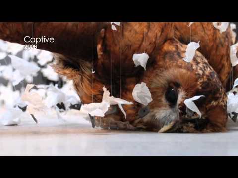 download lagu mp3 mp4 Claire Baker Artist, download lagu Claire Baker Artist gratis, unduh video klip Claire Baker Artist