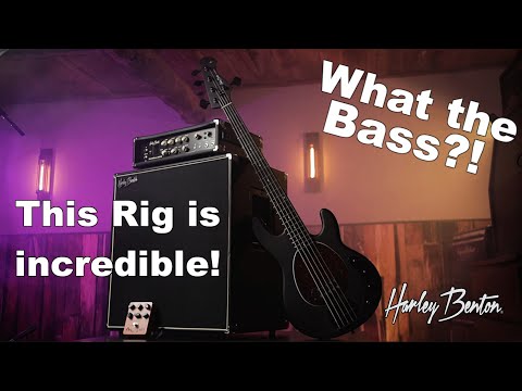 I found my dream Bass Rig (on a budget!)