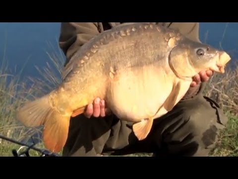 Carping with Dave Lane Part 2 from TF Gear