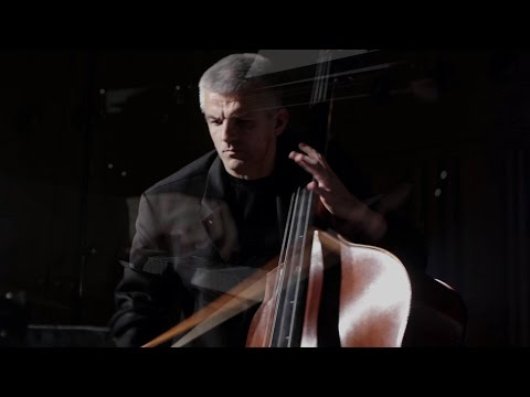 VAŇHAL, Bass Concerto (3.mov) | Božo Paradžik & Budapesti Vonósok