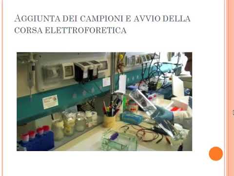 Anca coxartrosi che erano evidenziati forum Mal di stomaco e indietro e non mensile
