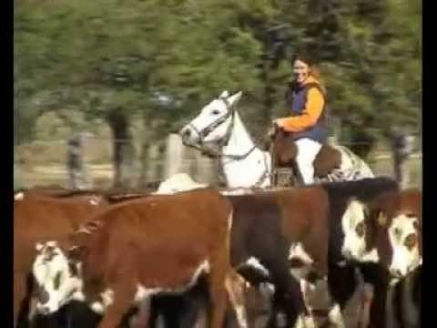 Irupé Lodge & Tours . Esteros del Ibera / Ibera Marshes