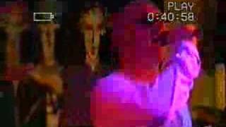 Mad Frogs - Free Beer for the Punks