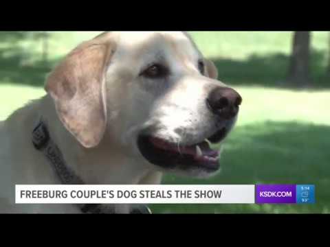 "Wedding dog" couple talks about their pup's epic photobomb