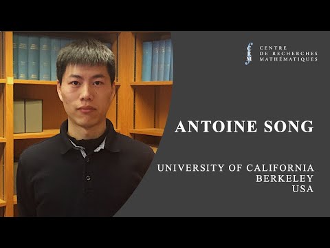 Abundance of minimal hypersurfaces