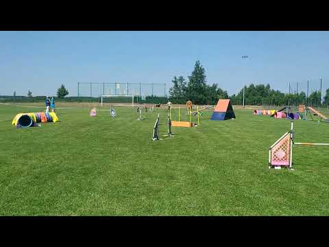 2021.06.19 Agility A1 exam debut - Corona Agility Cup