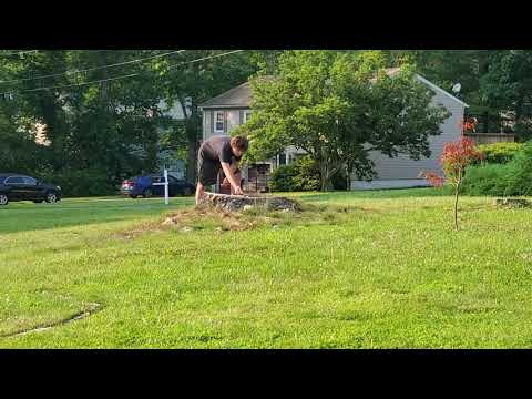 blowing up the stump 1/2 stick of dynamite