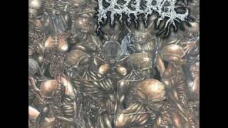 Disgorge (Mex) - Inhuman (Grave Cover)