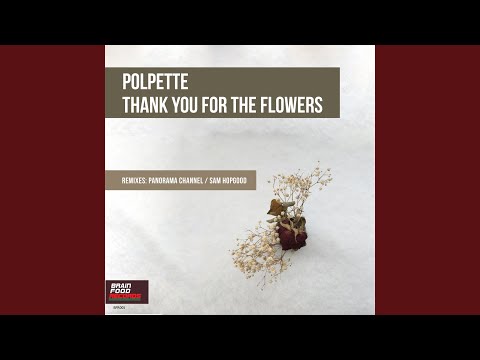 Changes (Panorama Channel Remix)