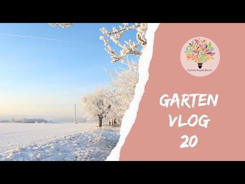 Schnee im Naturgarten: Warum die „weiße Decke“ wertvoll für die Biodiversität ist