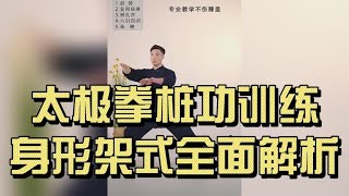 太极拳桩功训练｜松沉稳中求劲·身形架式全面解析｜Taichi Zhan Zhuang Essentials: Relaxation, Alignment & Internal Power