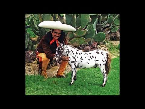 download lagu mp3 mp4 El Caballo Golondrino, download lagu El Caballo Golondrino gratis, unduh video klip El Caballo Golondrino