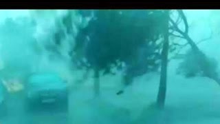 One of the most powerful microbursts caught on camera; trees snapped like matchsticks.