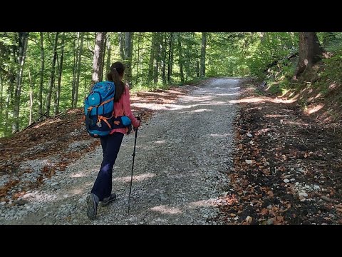 Ep. 9 Sezon 1| Traseu Poteca Regala - Stana Regala - Platou Piatra Arsa