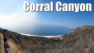 preview picture of video 'Corral Canyon Park - Hiking Los Angeles (HD)'