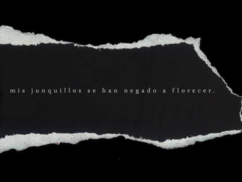Poemas Edith Vera | Una flor armada hasta los dientes - Gustavo Borga