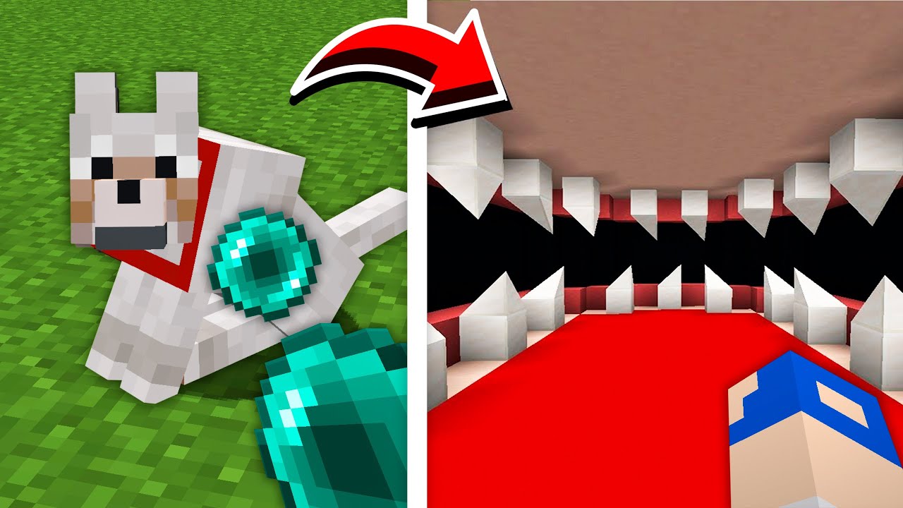 O QUE TEM DENTRO DOS MOBS NO MINECRAFT?