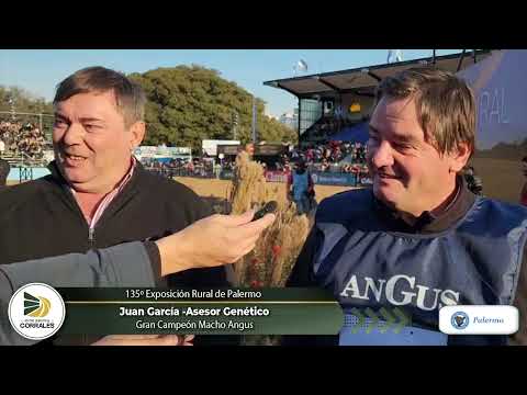 28-07-23 - Federico Vizzolini - Juan García - Gran Campeón Macho Angus -  Cabaña Arandú