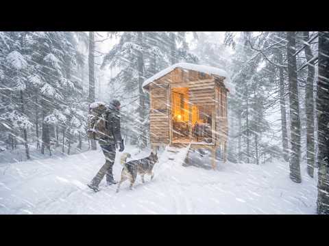 Renovate the hideout in an abandoned wooden house | with my dog