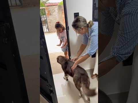 Aitana le huye a la perrita lobo😂