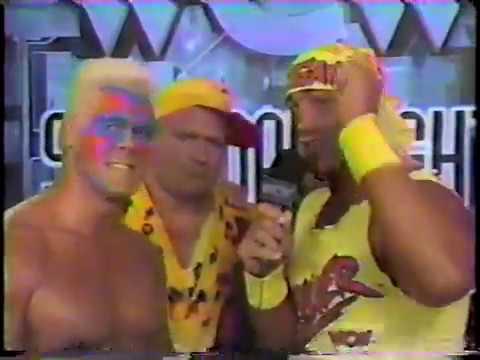 Sting, Dave Sullivan & Hulk Hogan Interview [1994-11-05]