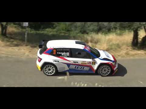 14° Rally di Reggello   Senigagliesi   Lupi
