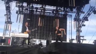 Cardiknox "Earthquake" Sasquatch 2015