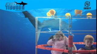 DIA 2 Expo Tiburon97