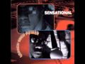 Sensational - Thick Marker