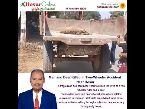 Two-Wheeler Rider and Deer Killed in Road Accident Near Hosur