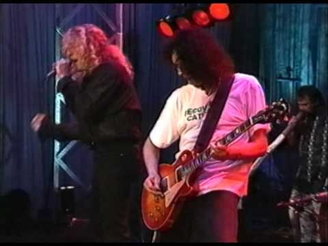 Plant Page - Denton [1994] - Part 2 (Black Dog)