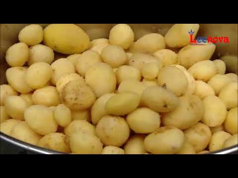 5 kg Leenova Potato Peeler
