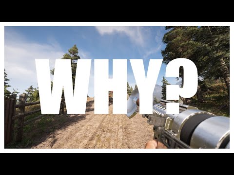 Why Do I have 240 Hours in FarCry 5?