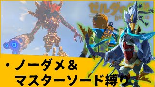 【マスターモード全クリ目指すゼル伝BotW】#29　神獣ヴァ･メドーをノーダメ＆マスターソード縛りでぼっこぼこにします。