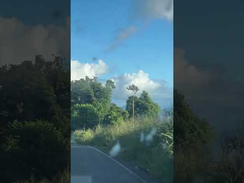 Estrada Almadina/Floresta Azul, no sul da Bahia #rodoviasdabahia